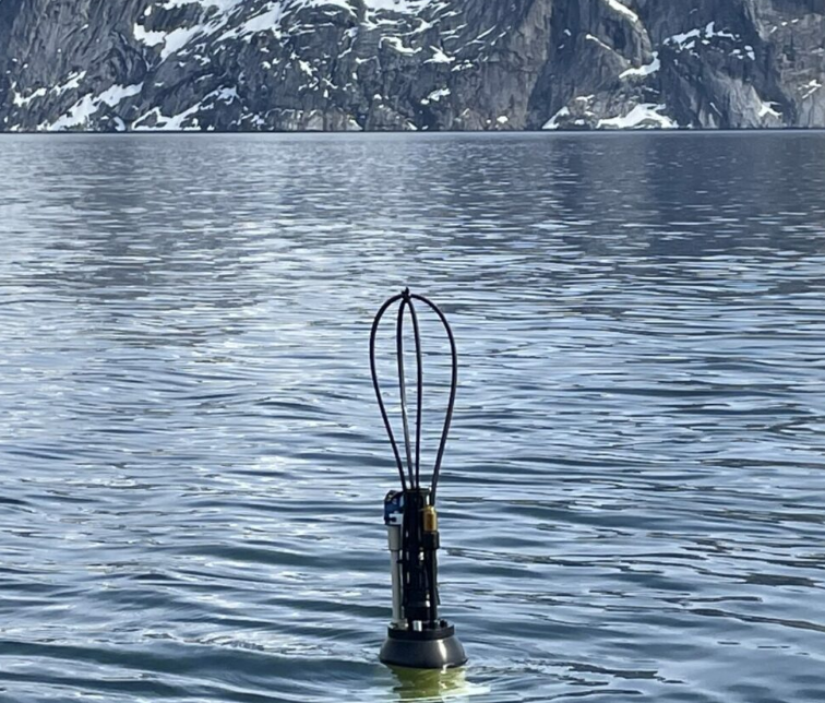 Argo Float Image